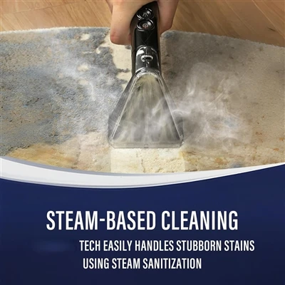 Pet Stains? Fabric Steam Cleaner Win Pet Stains? Fabric Steam Cleaner Win